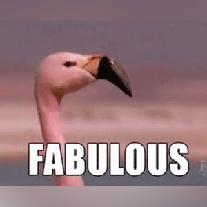 It’s a new day to be…